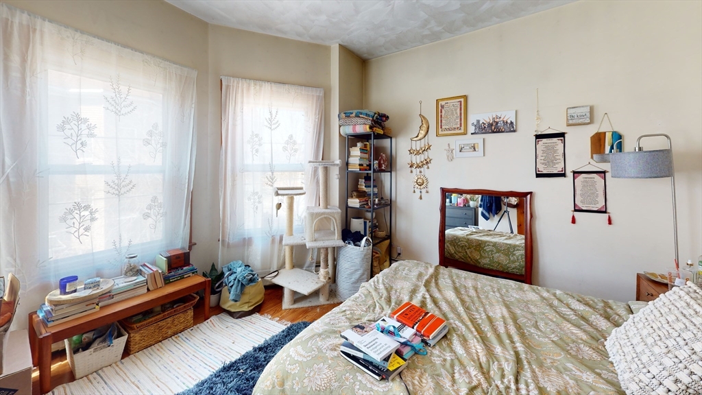 40 Mozart - Jamaica Plain