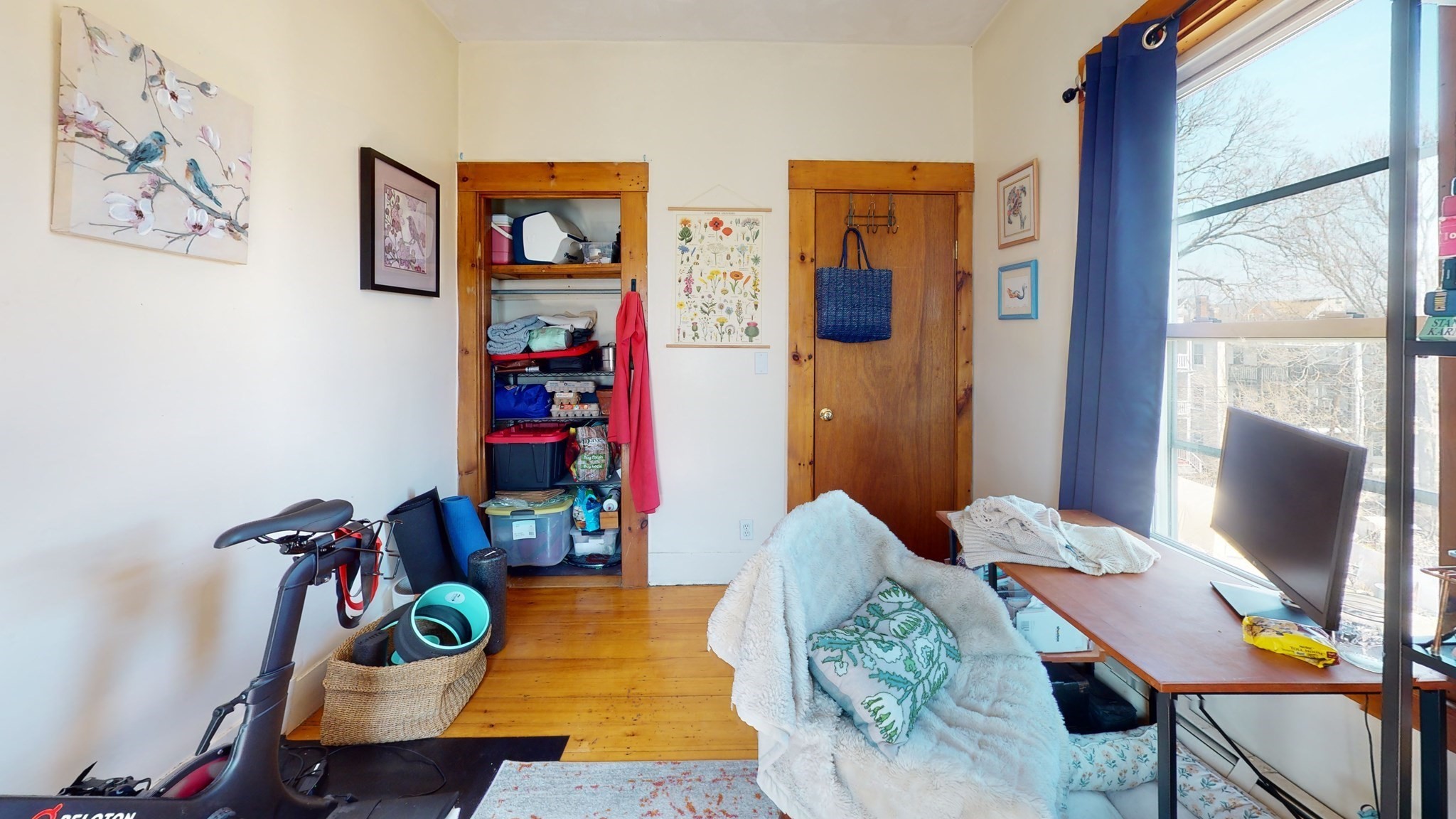 40 Mozart - Jamaica Plain