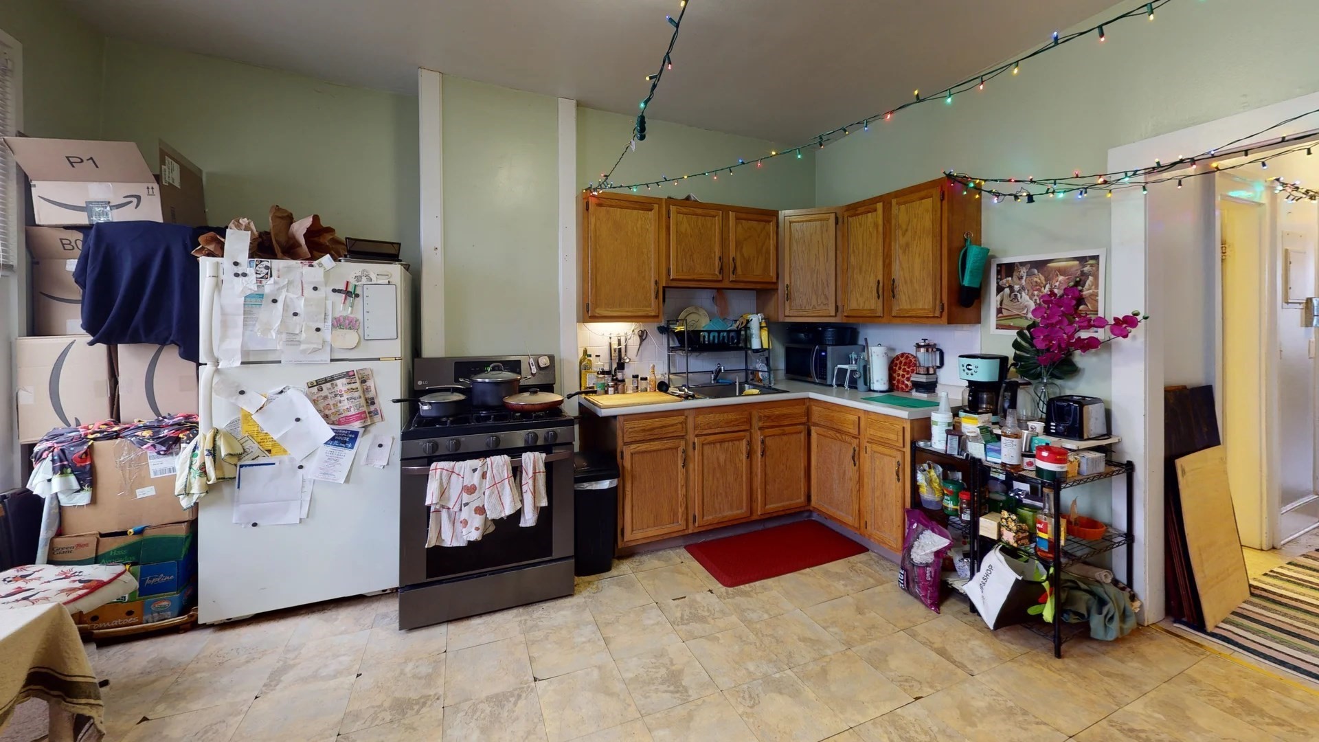36 Mozart - Jamaica Plain