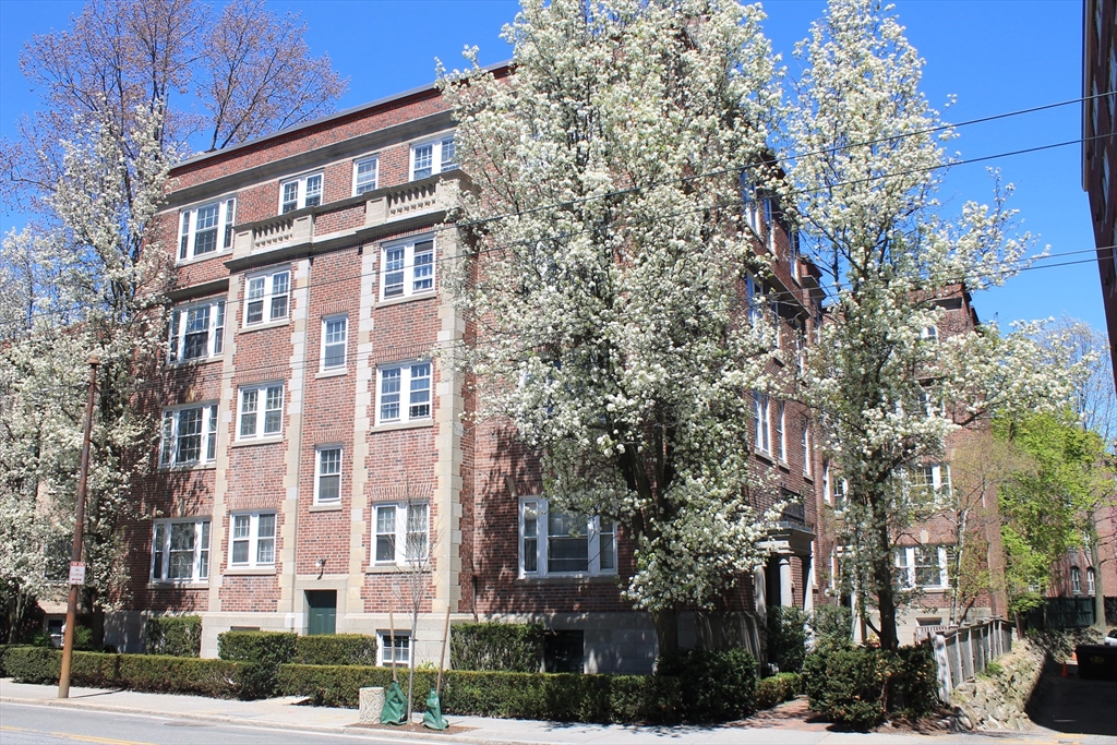 31 Concord Ave. - Harvard Square