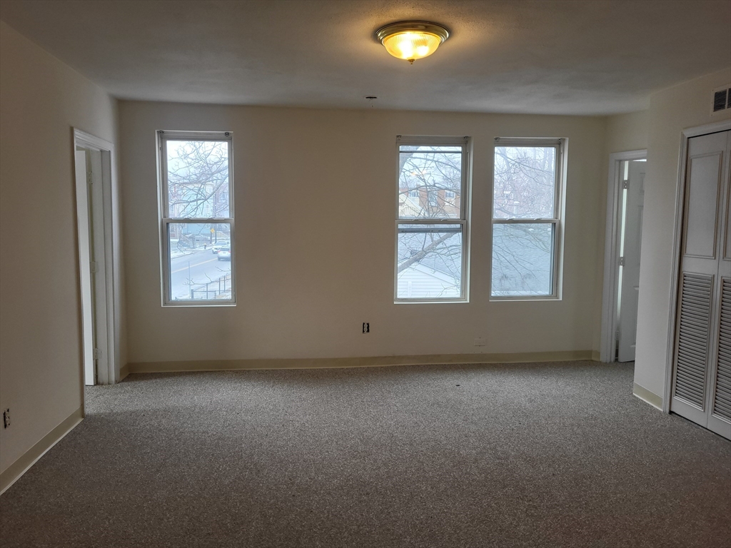947 River St. - Hyde Park