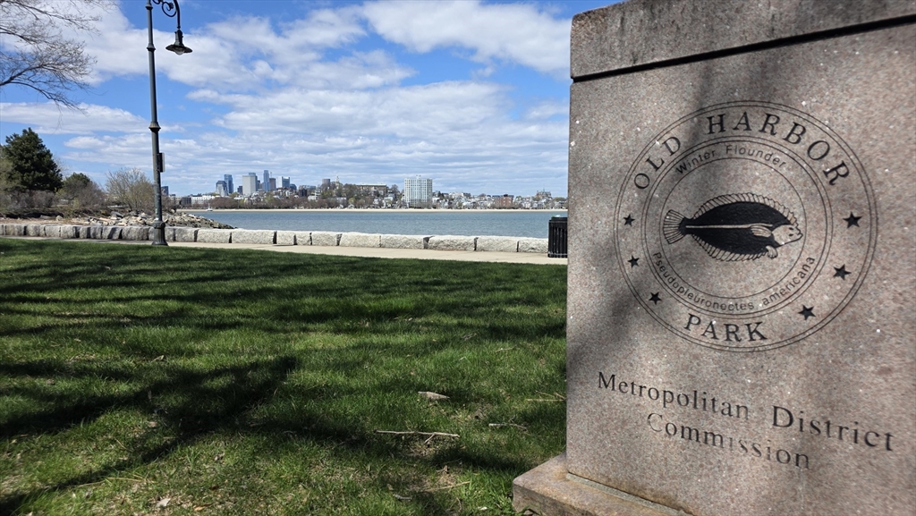 25 South Point Dr. - Dorchester