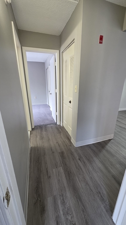 25 South Point Dr. - Dorchester