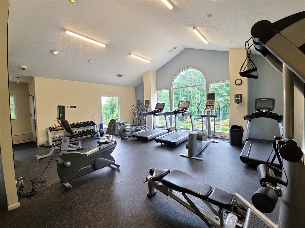 25 South Point Dr. - Dorchester