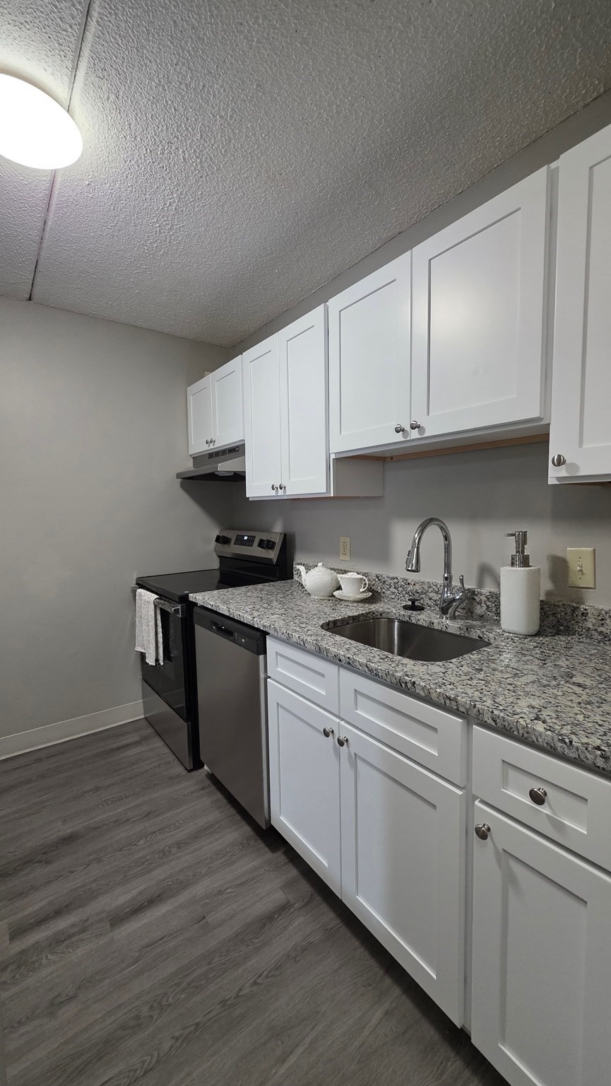 25 South Point Dr. - Dorchester
