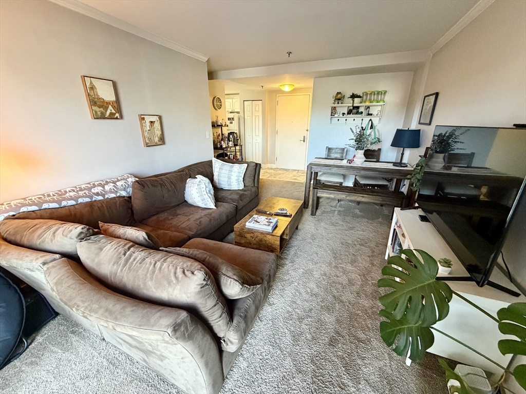 15 North Beacon St. - Brighton