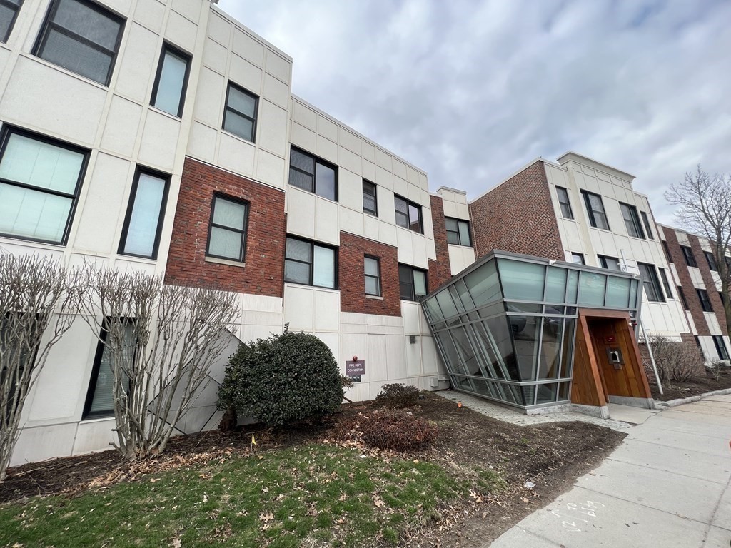 99 Chestnut Hill - Brighton