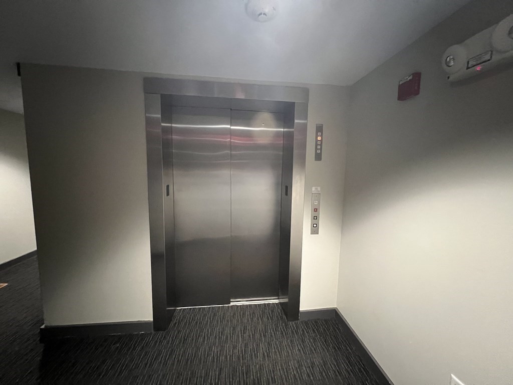 99 Chestnut Hill - Brighton