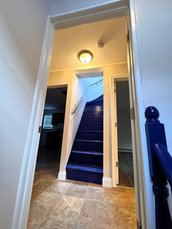 38 Hunting St. - Wellington
