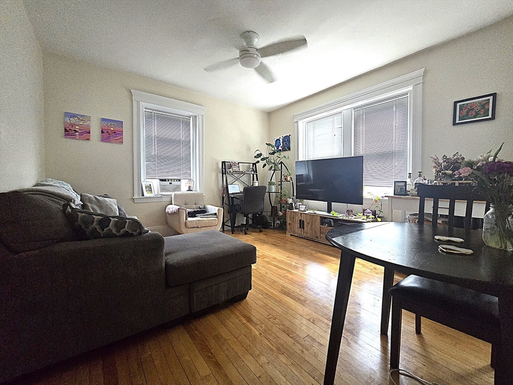 164 Strathmore Rd. - Brighton