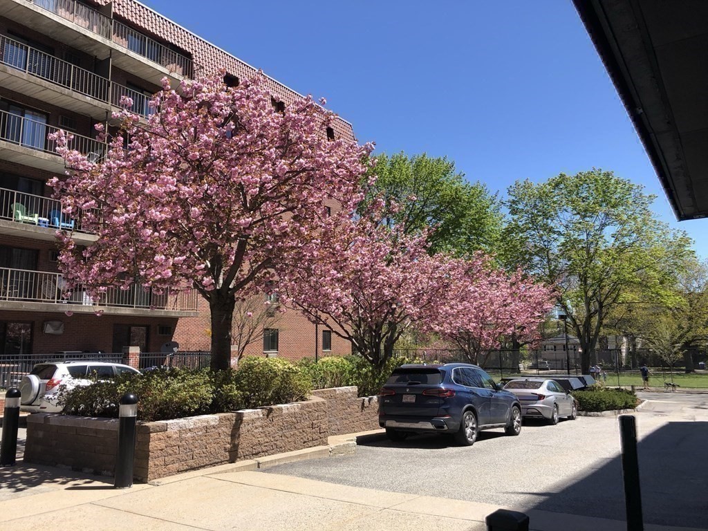 135 Pleasant St. - Coolidge Corner