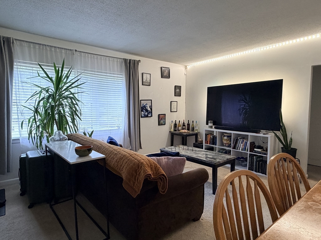 185 Lake Shore Rd. - Brighton