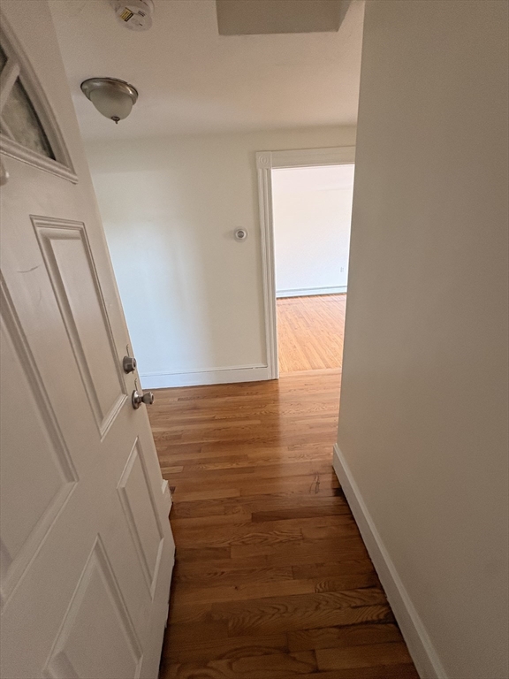 347 Wood Ave. - Hyde Park