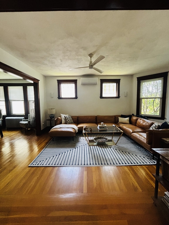 31 Matchett St. - Brighton