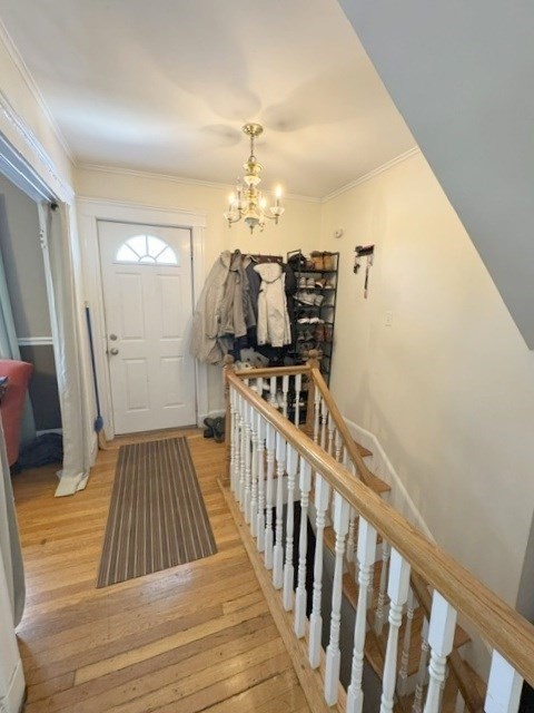 118 Holton St. - Brighton