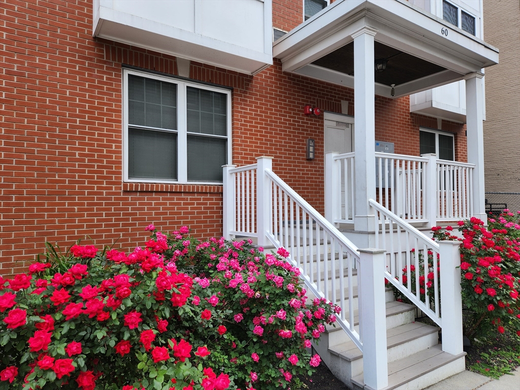 60 Holworthy - Roxbury