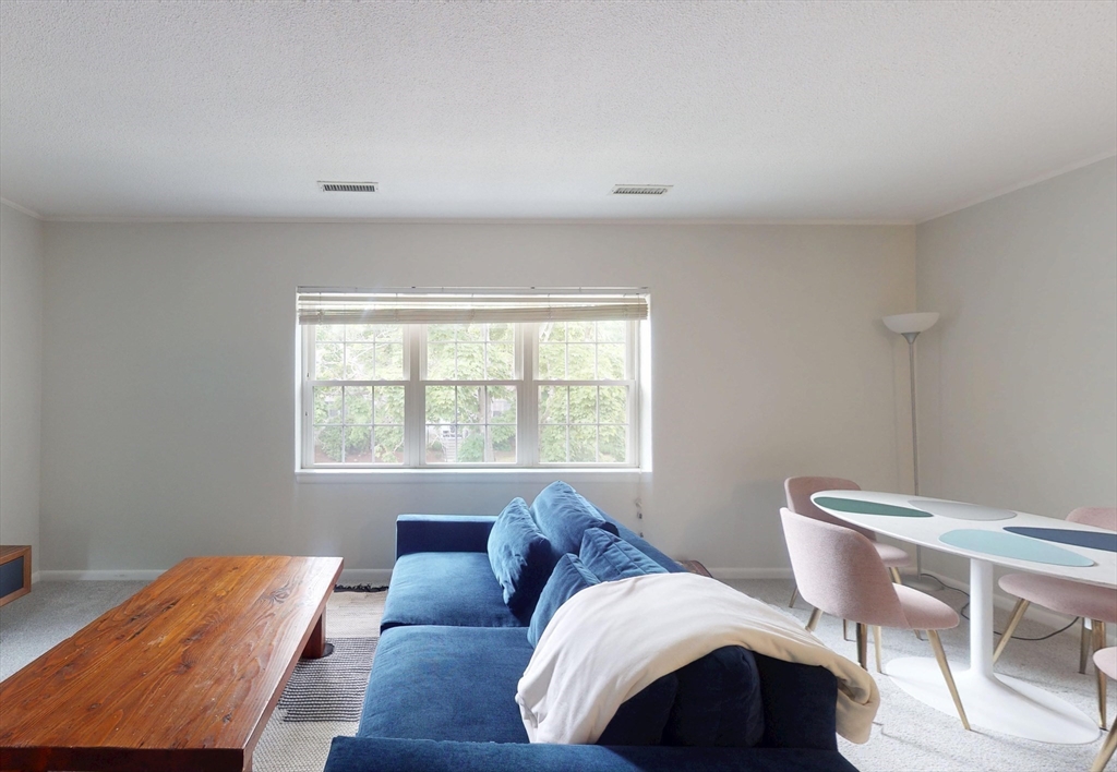 133 Lake Shore Rd. - Brighton