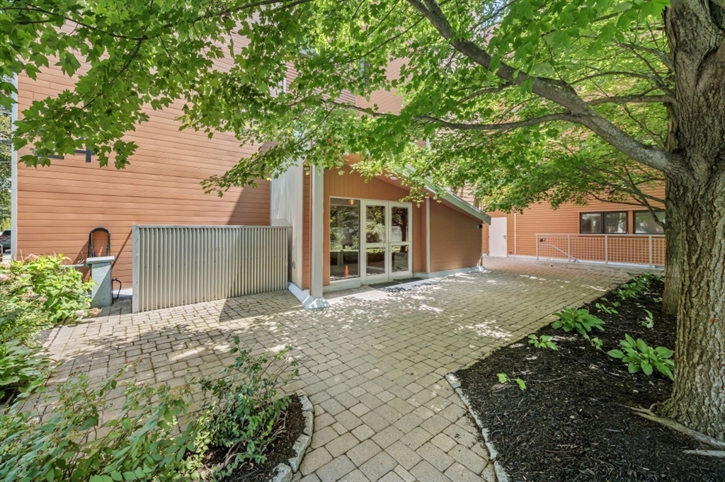 24 Bay State Rd. - West Cambridge