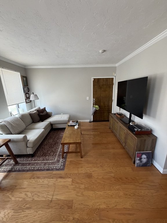 3 Cypress Rd. - Brighton