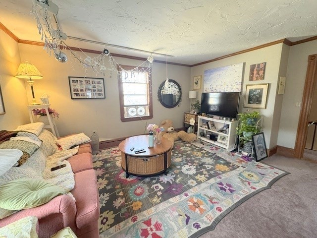 24 Shepard St. - Brighton