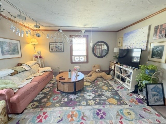 24 Shepard St. - Brighton