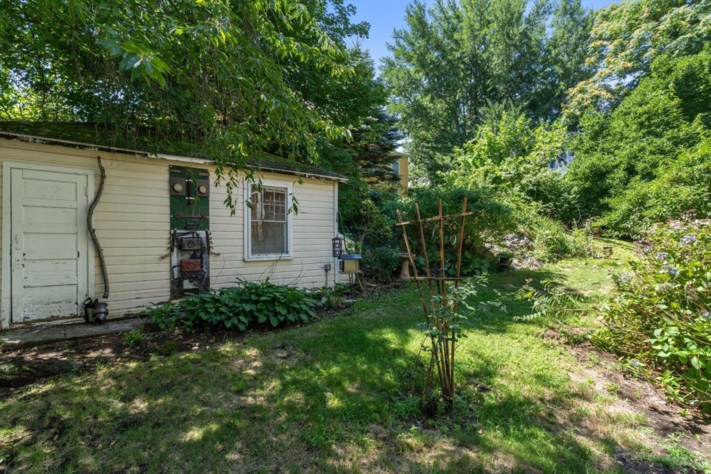 7 Burr - Jamaica Plain