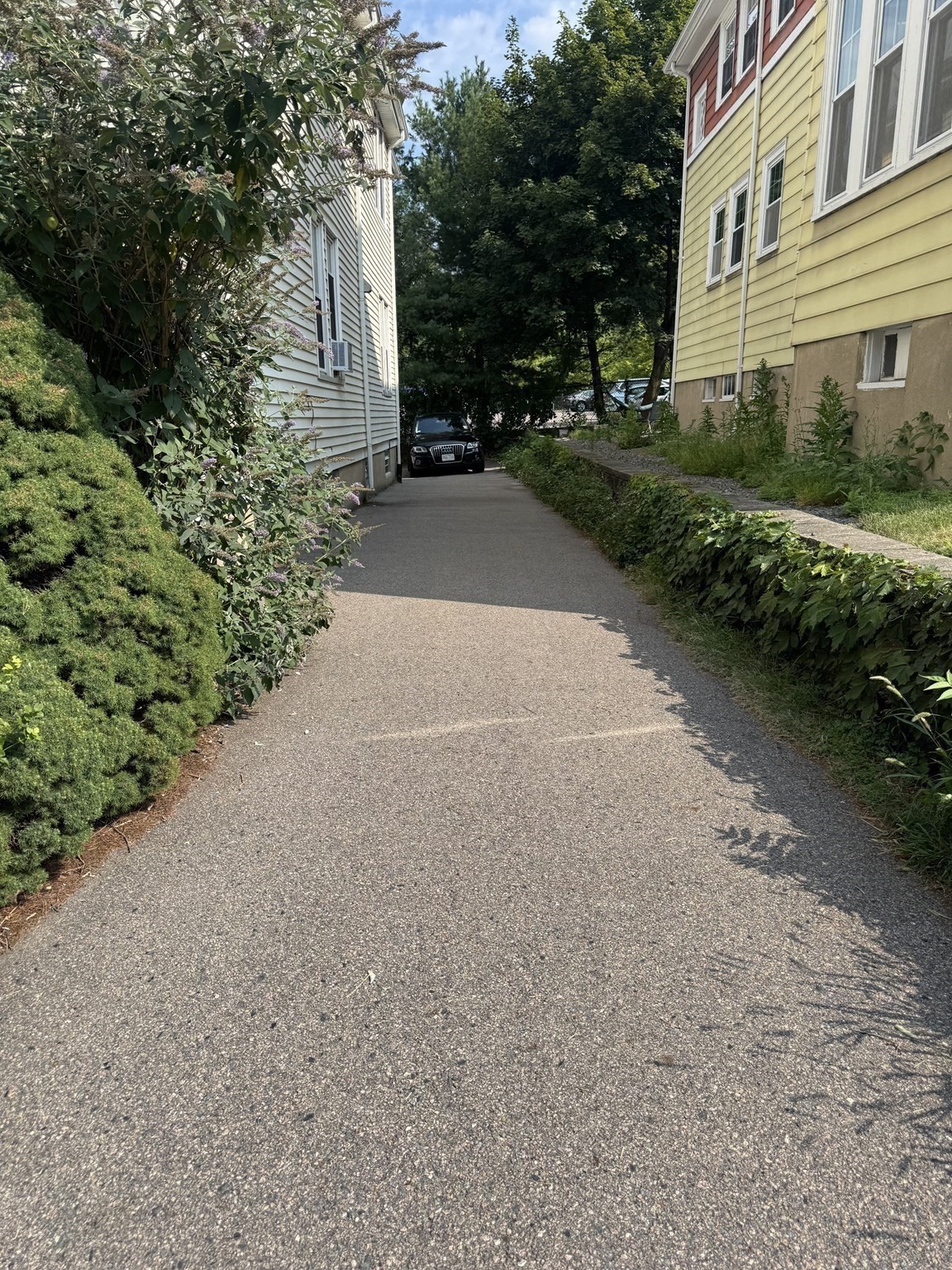 107 Bynner - Jamaica Plain