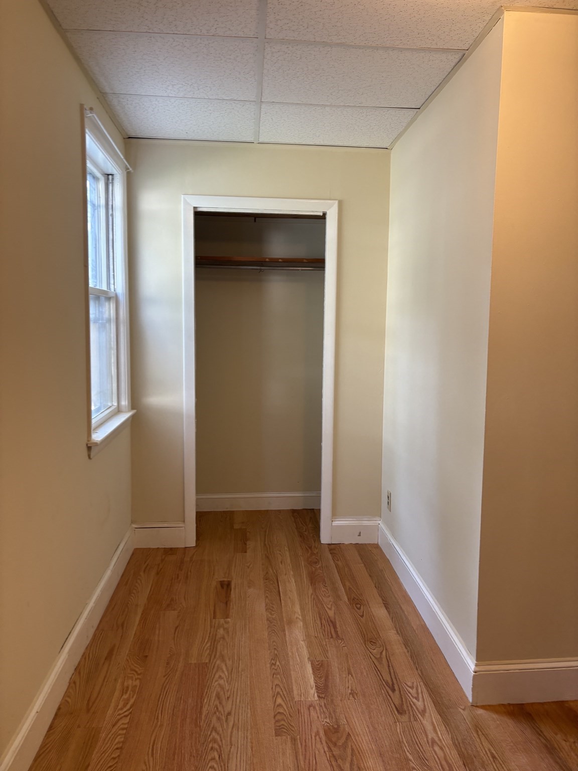 327 Faneuil - Brighton