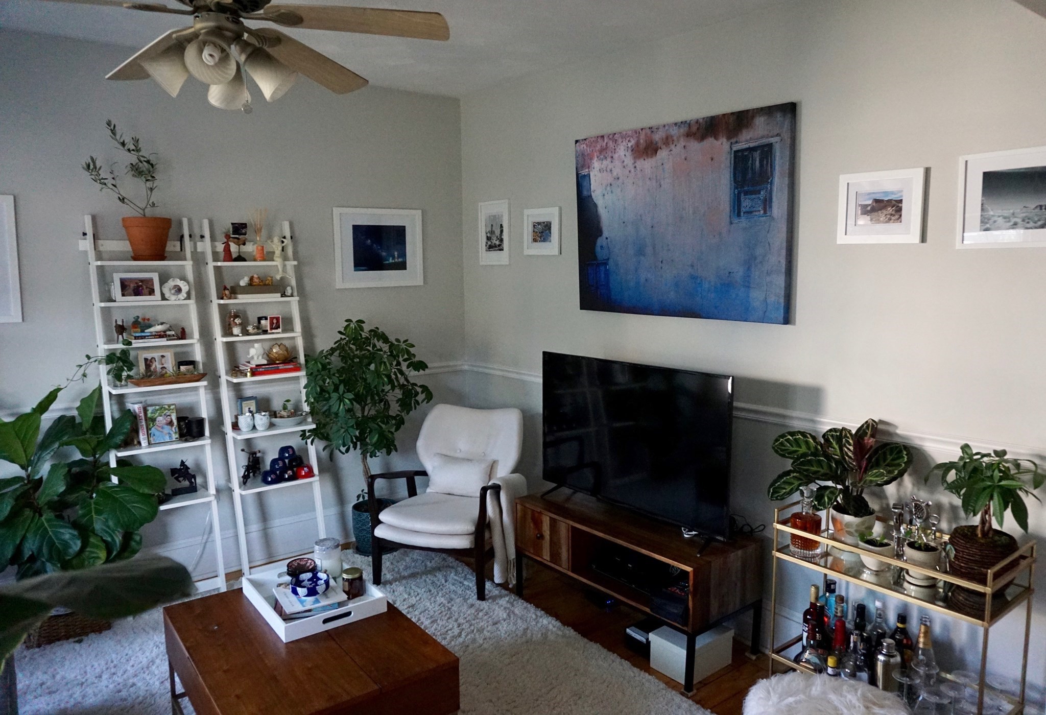 121 Albion St. - Davis Square