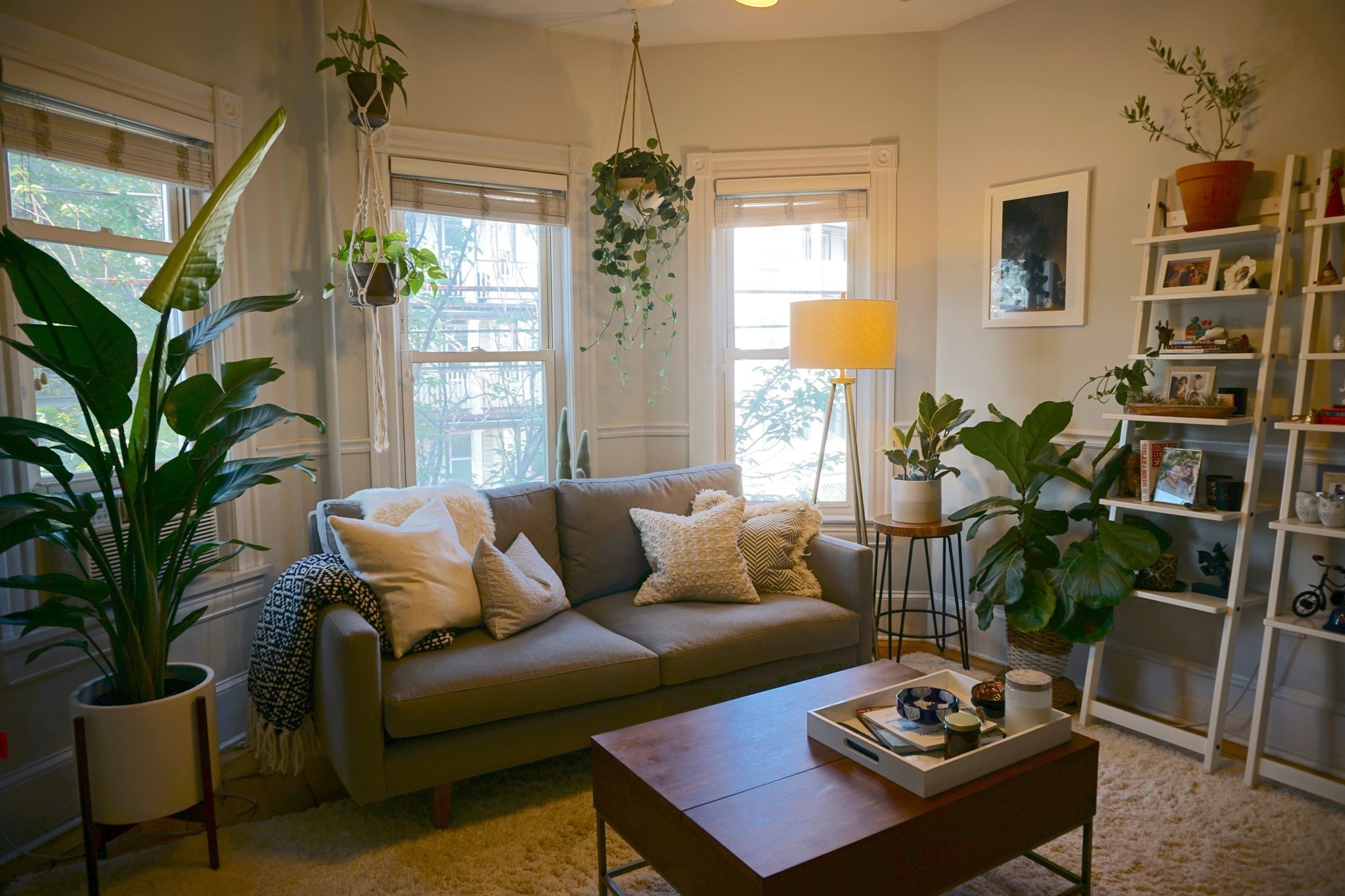 121 Albion St. - Davis Square