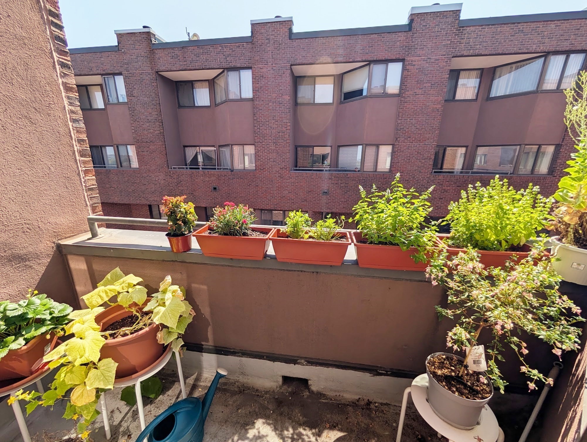 147 Kelton St. - Allston