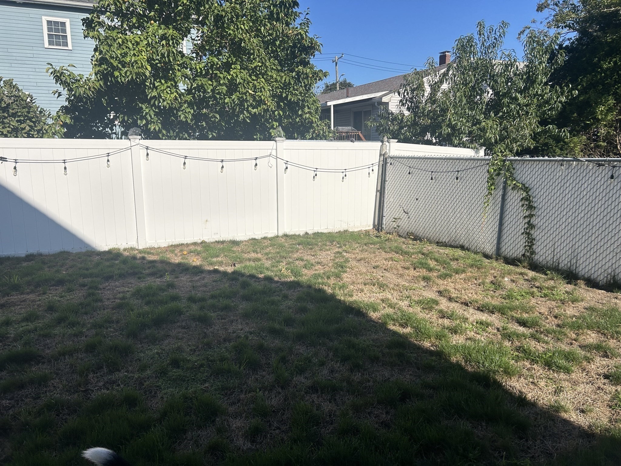 15 Farrin St. - Hyde Park