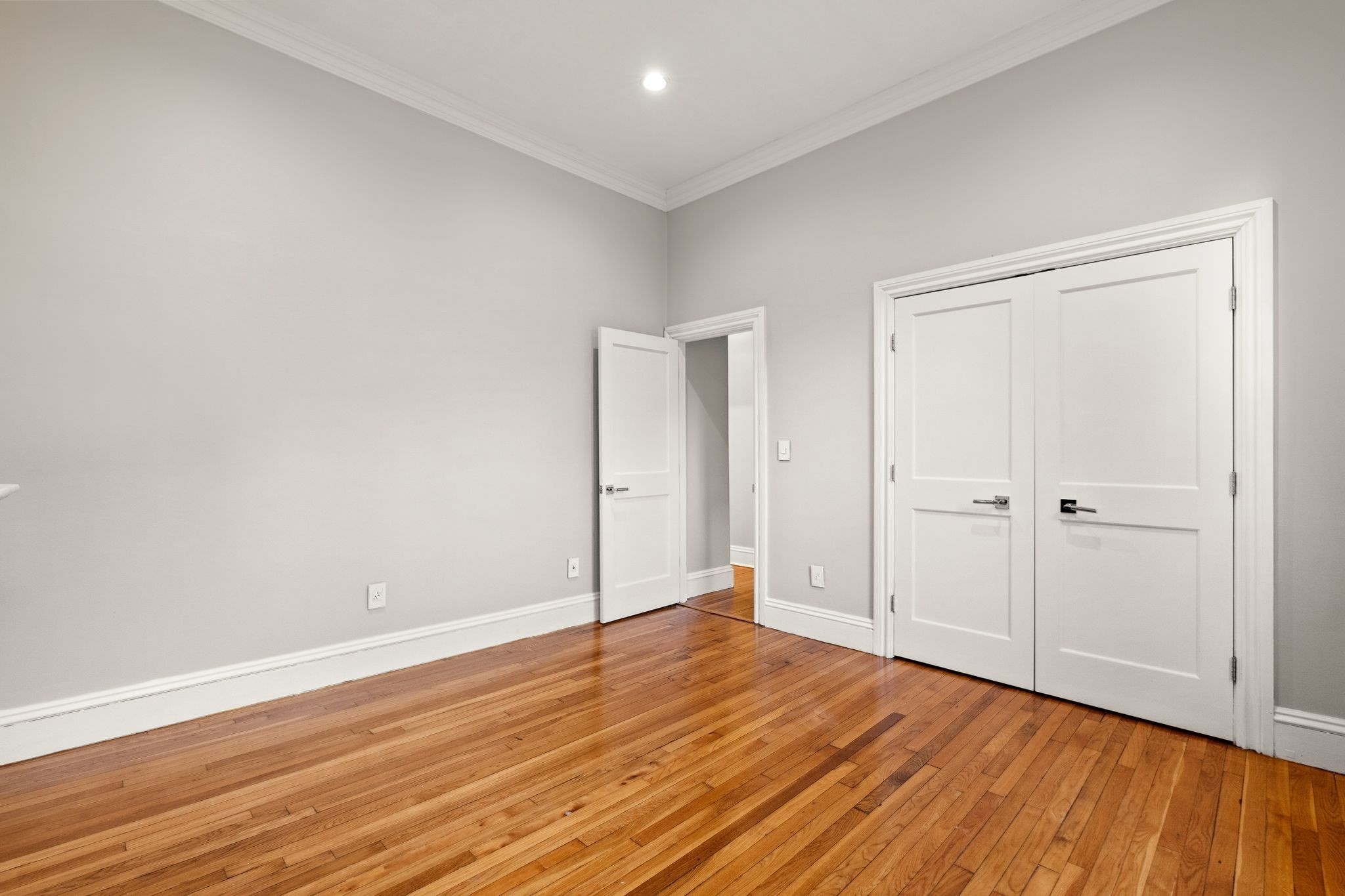 219 West Springfield - South End
