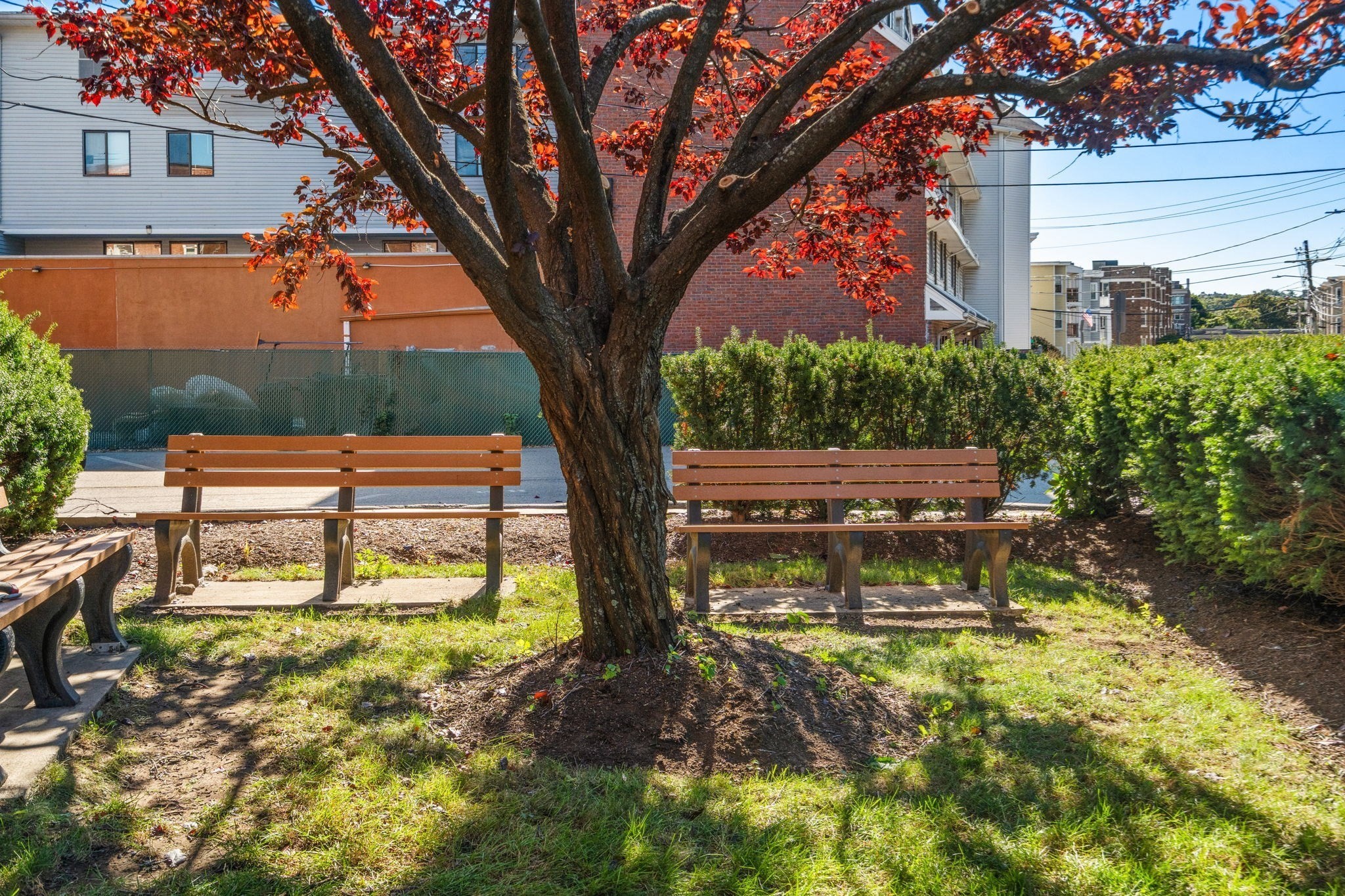 47 Colborne Rd. - Brighton