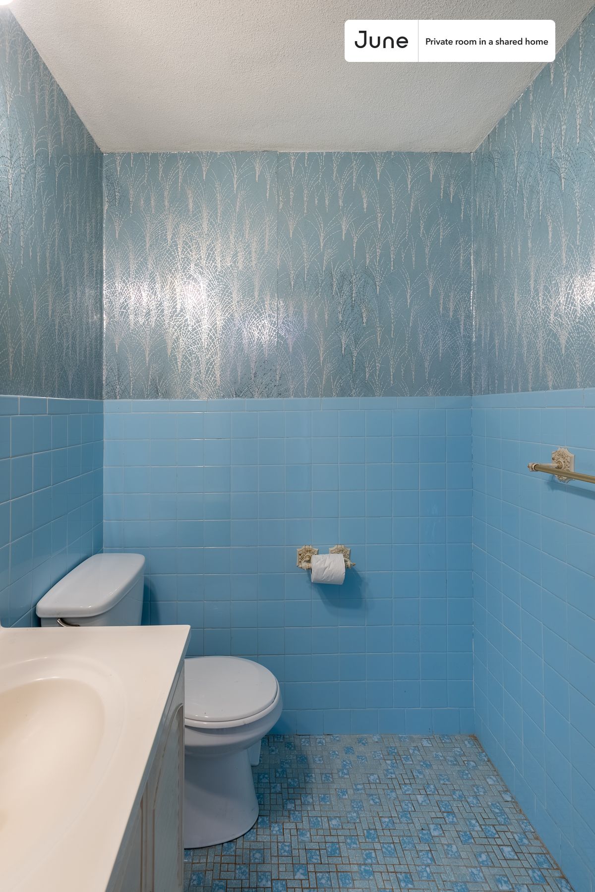 26 Charnwood Rd. - Spring Hill