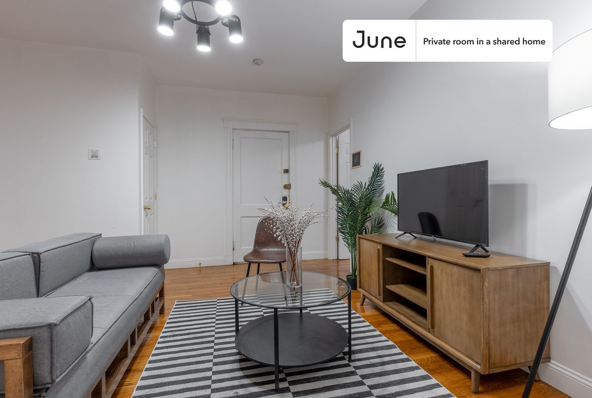 41 Egremont Rd. - Brighton