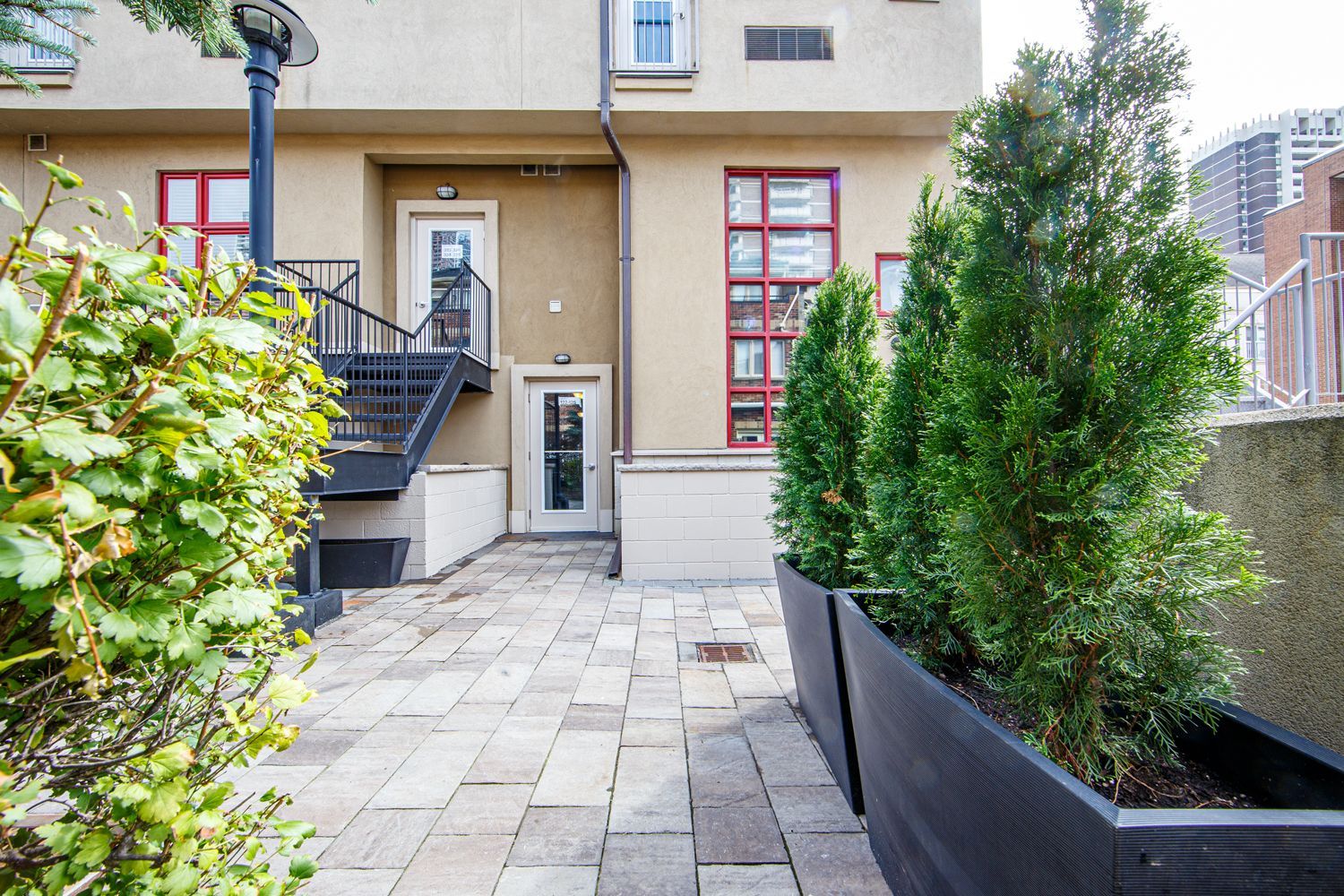 21 Earl Street - East Downtown