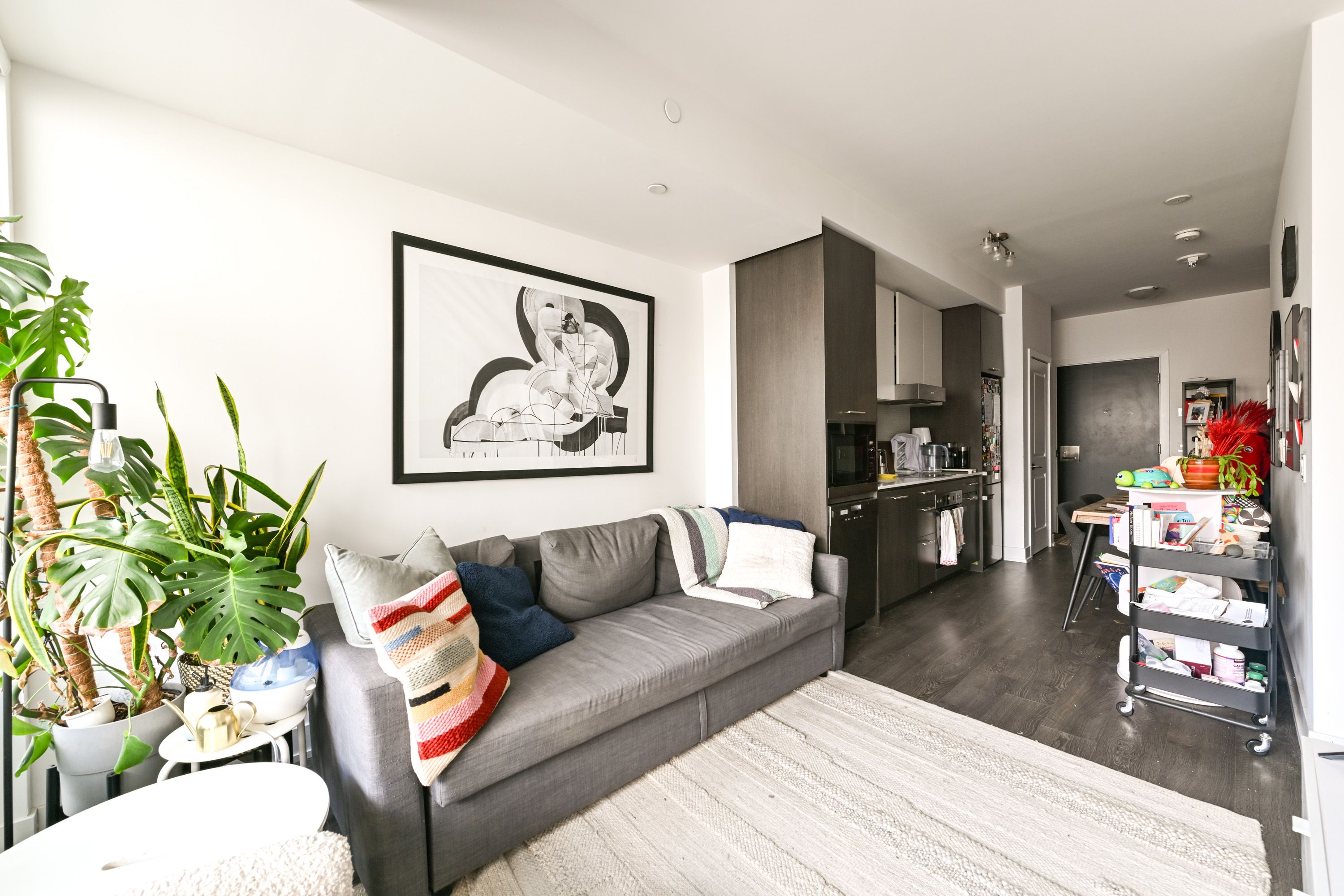 11 Lillian Street - Midtown