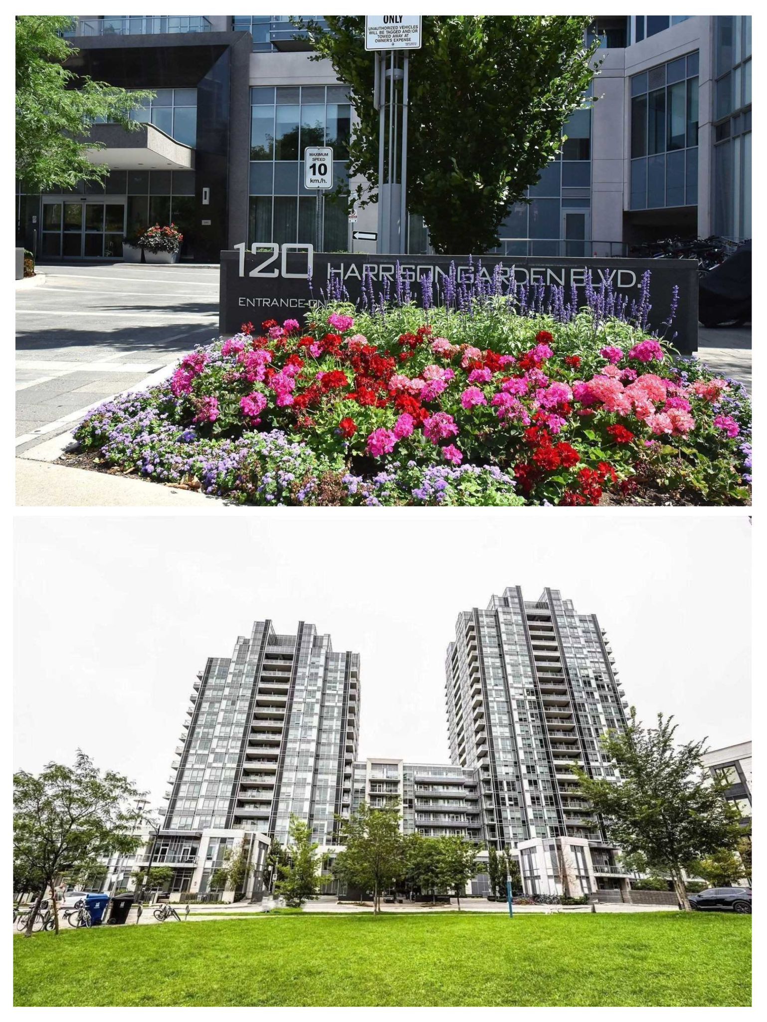 120 Harrison Garden Boulevard - North York