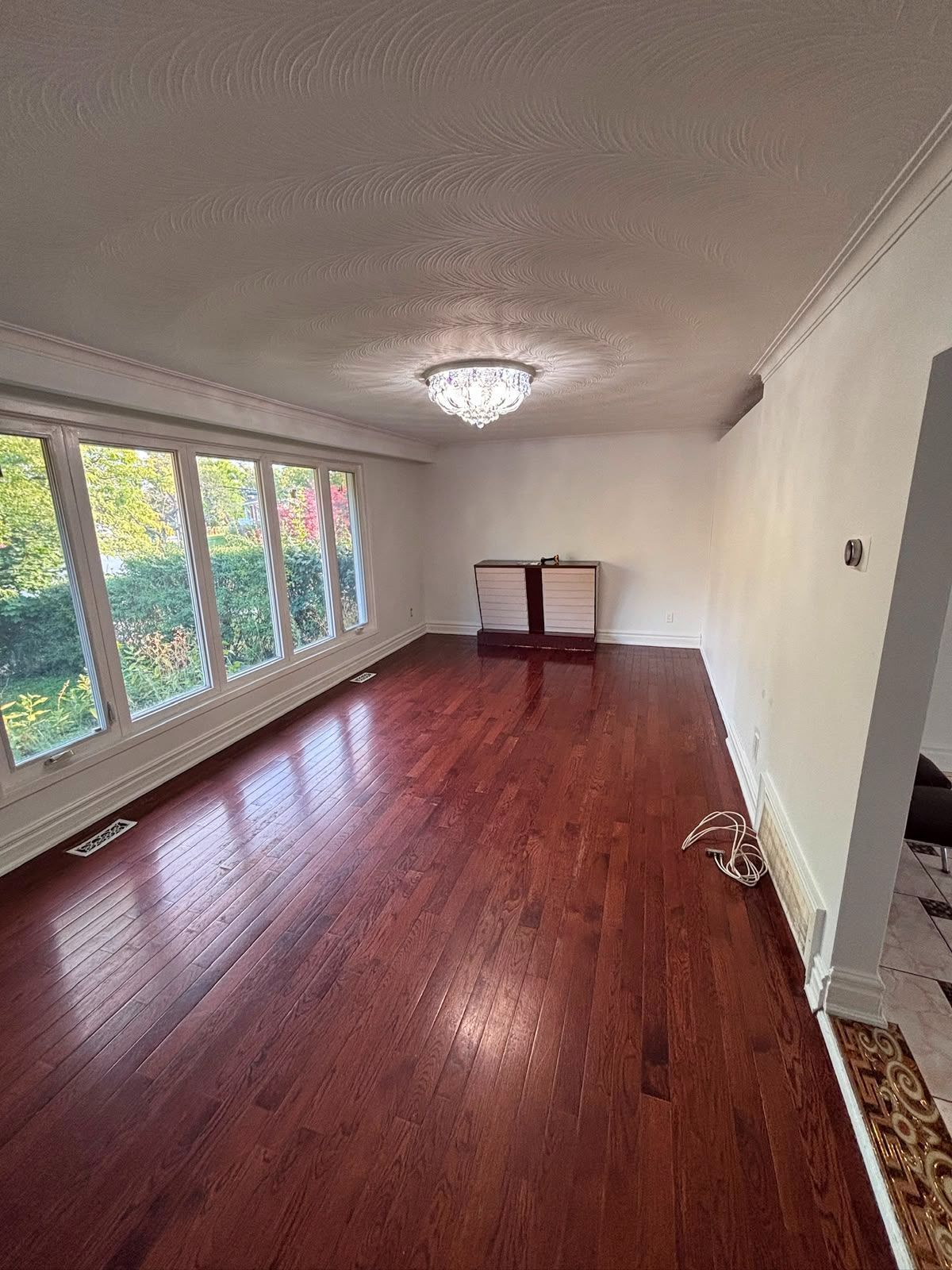 14 Camperdown Avenue - Etobicoke