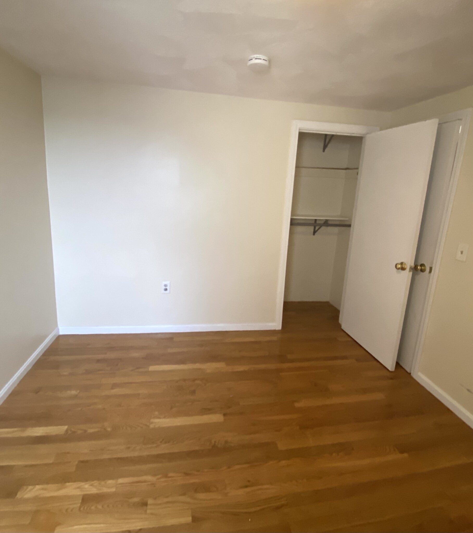 145 Princeton - East Boston