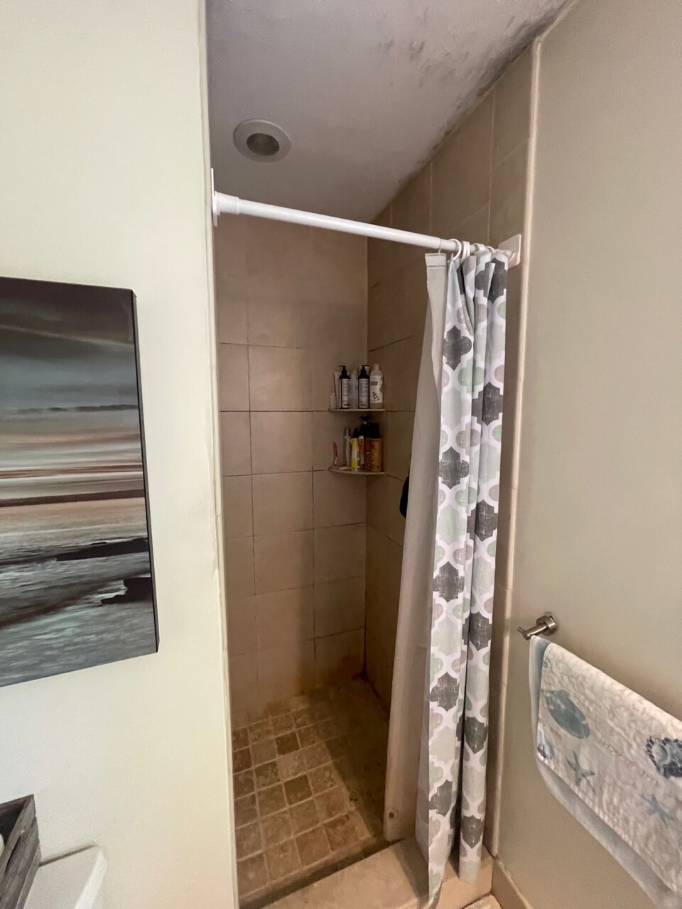 93 Kilsyth Rd. - Brighton