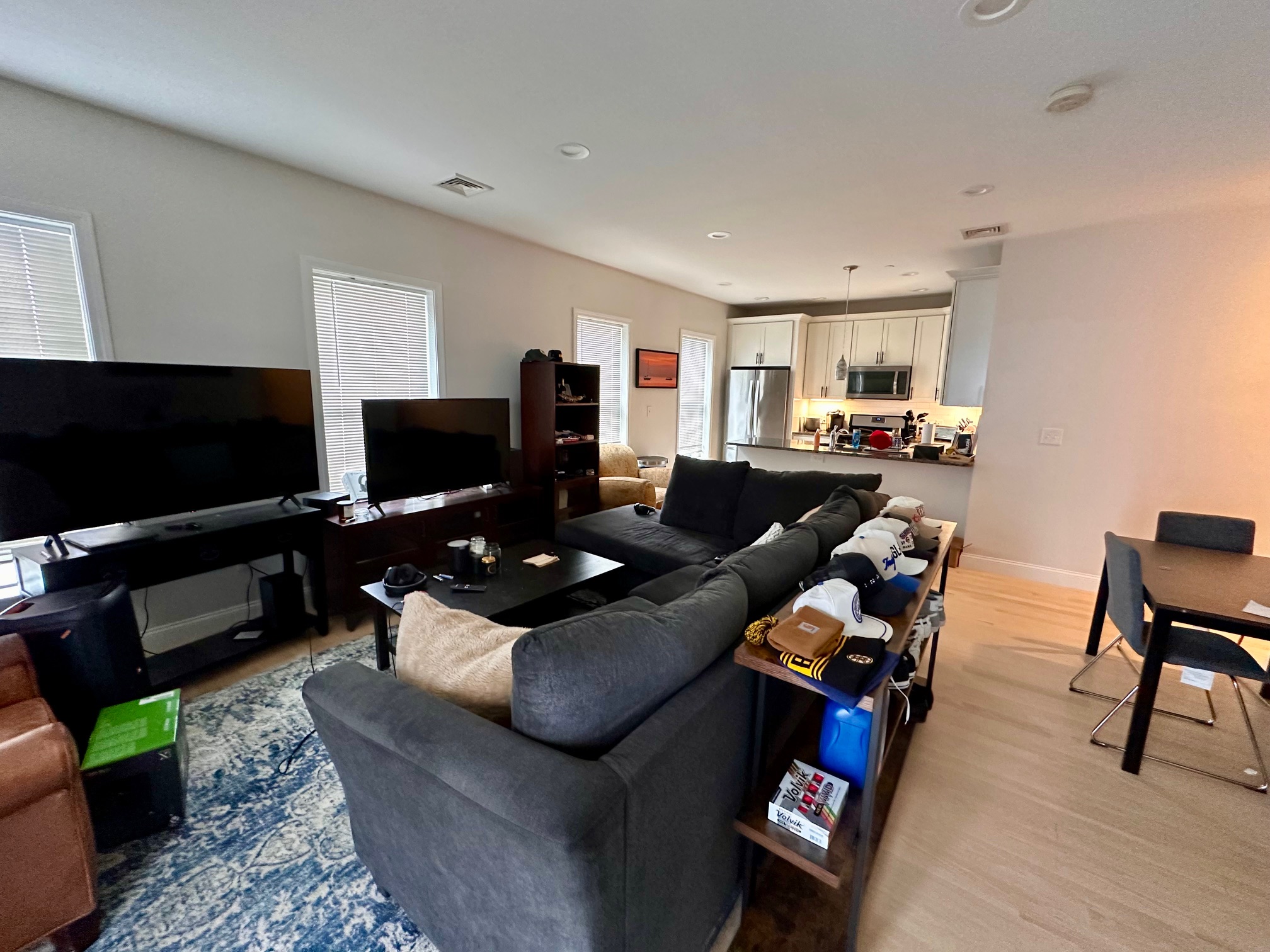 15 Dana Ave. - Hyde Park