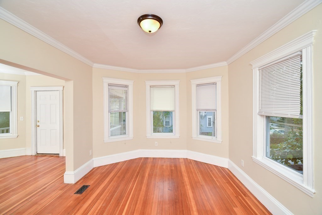 65 Hollander - Dorchester