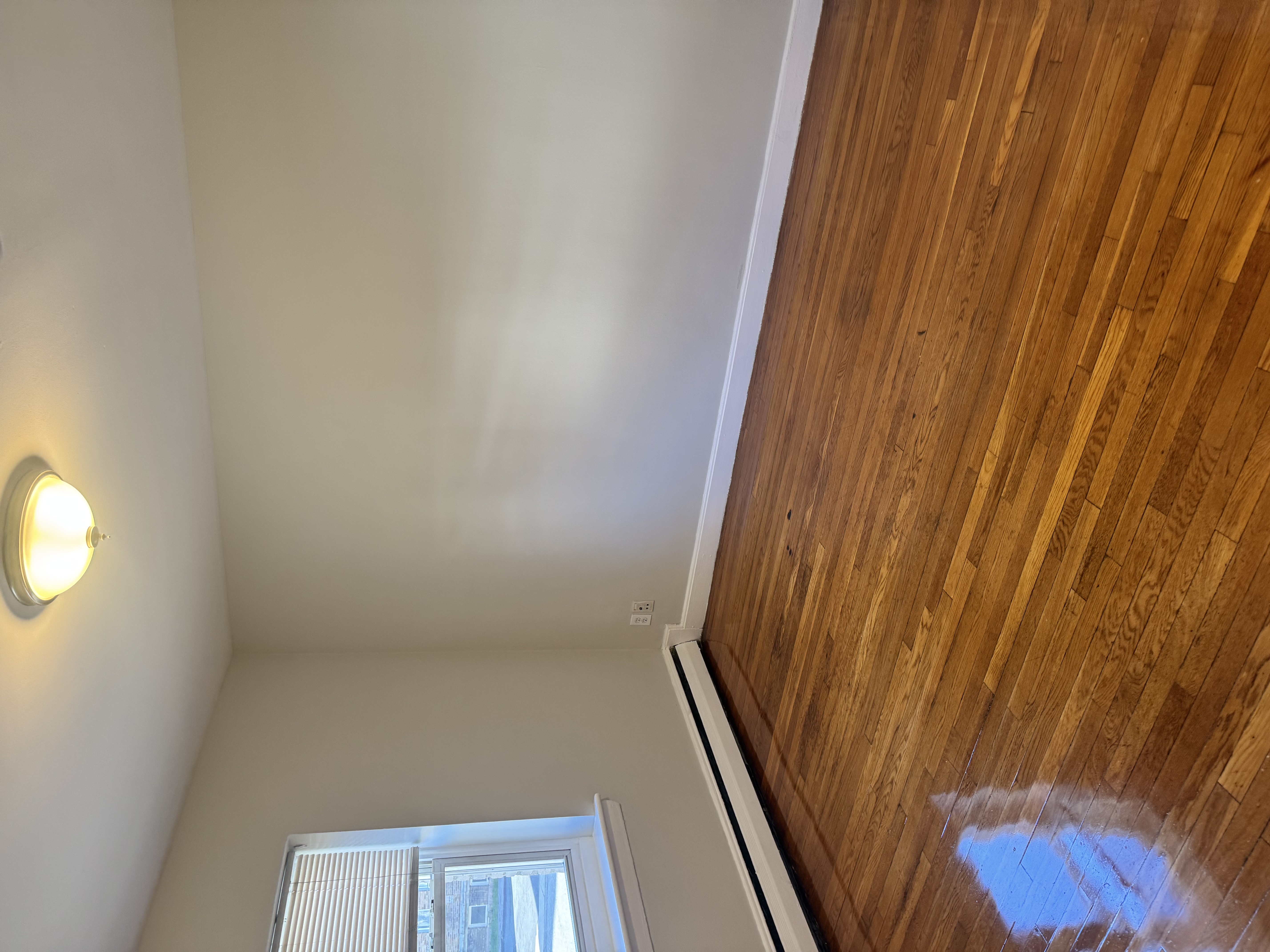 63 Selkirk Rd. - Brighton