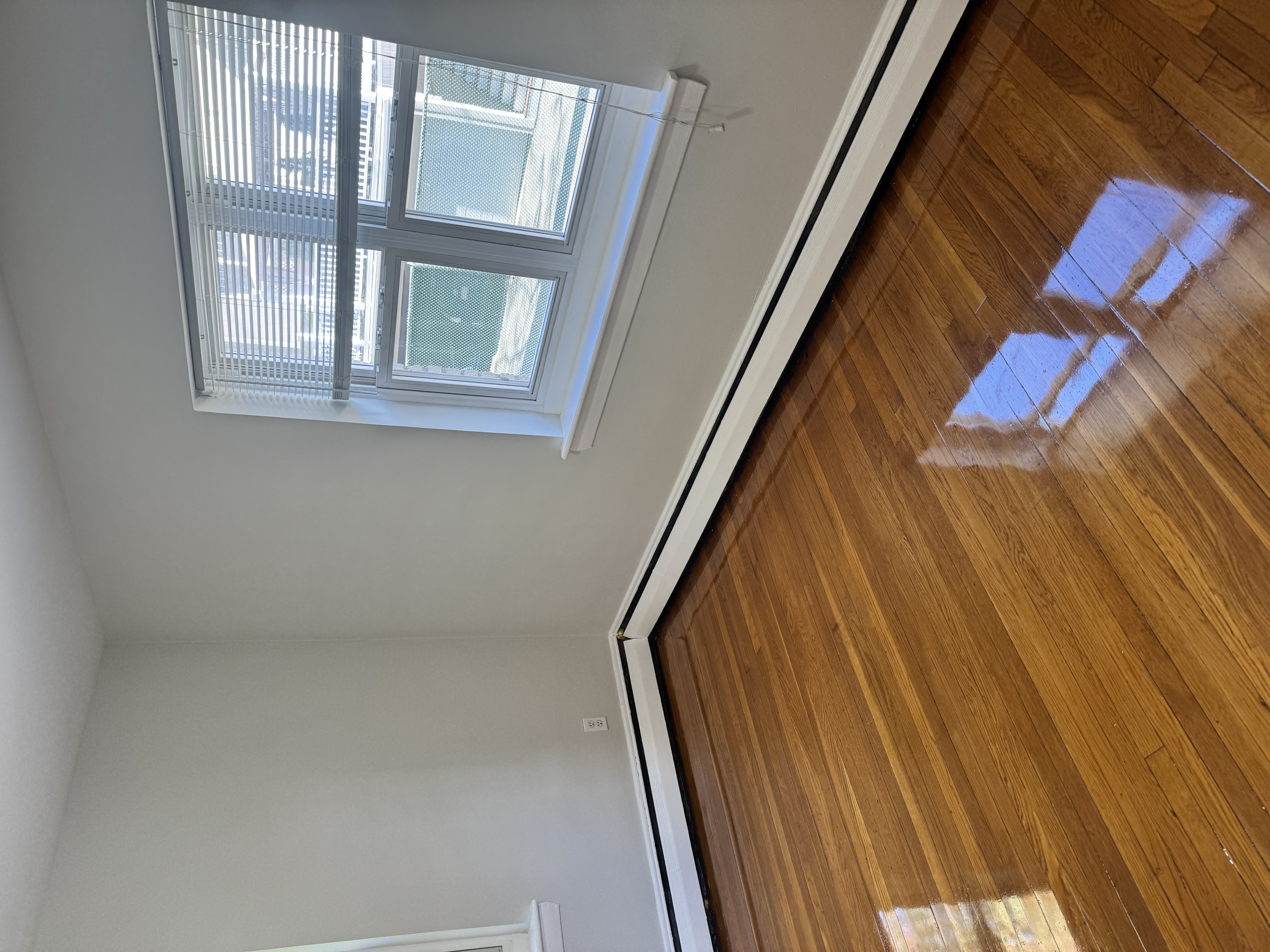 63 Selkirk Rd. - Brighton