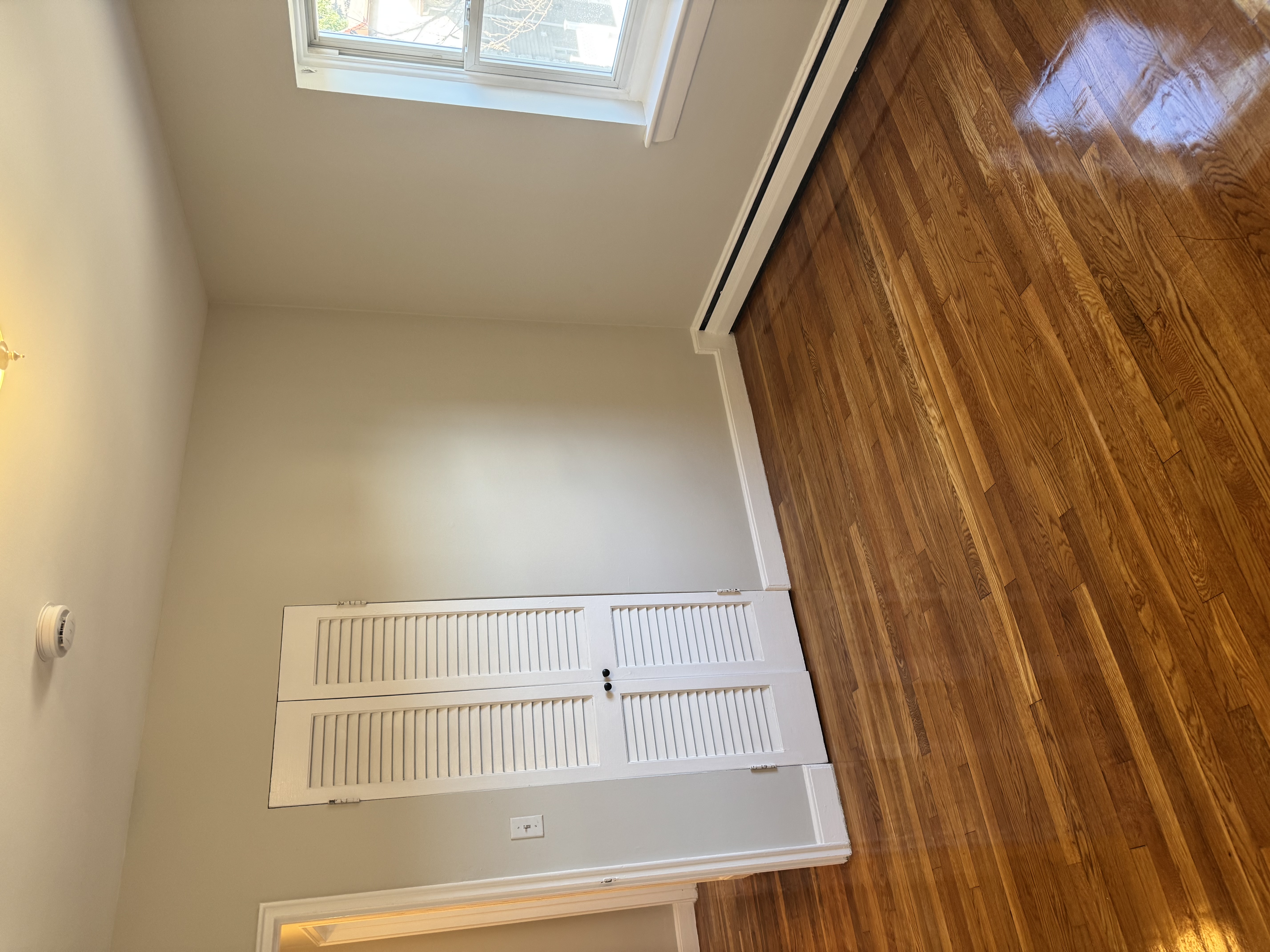63 Selkirk Rd. - Brighton