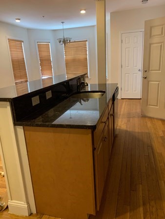 14 Homer St. - Coolidge Corner