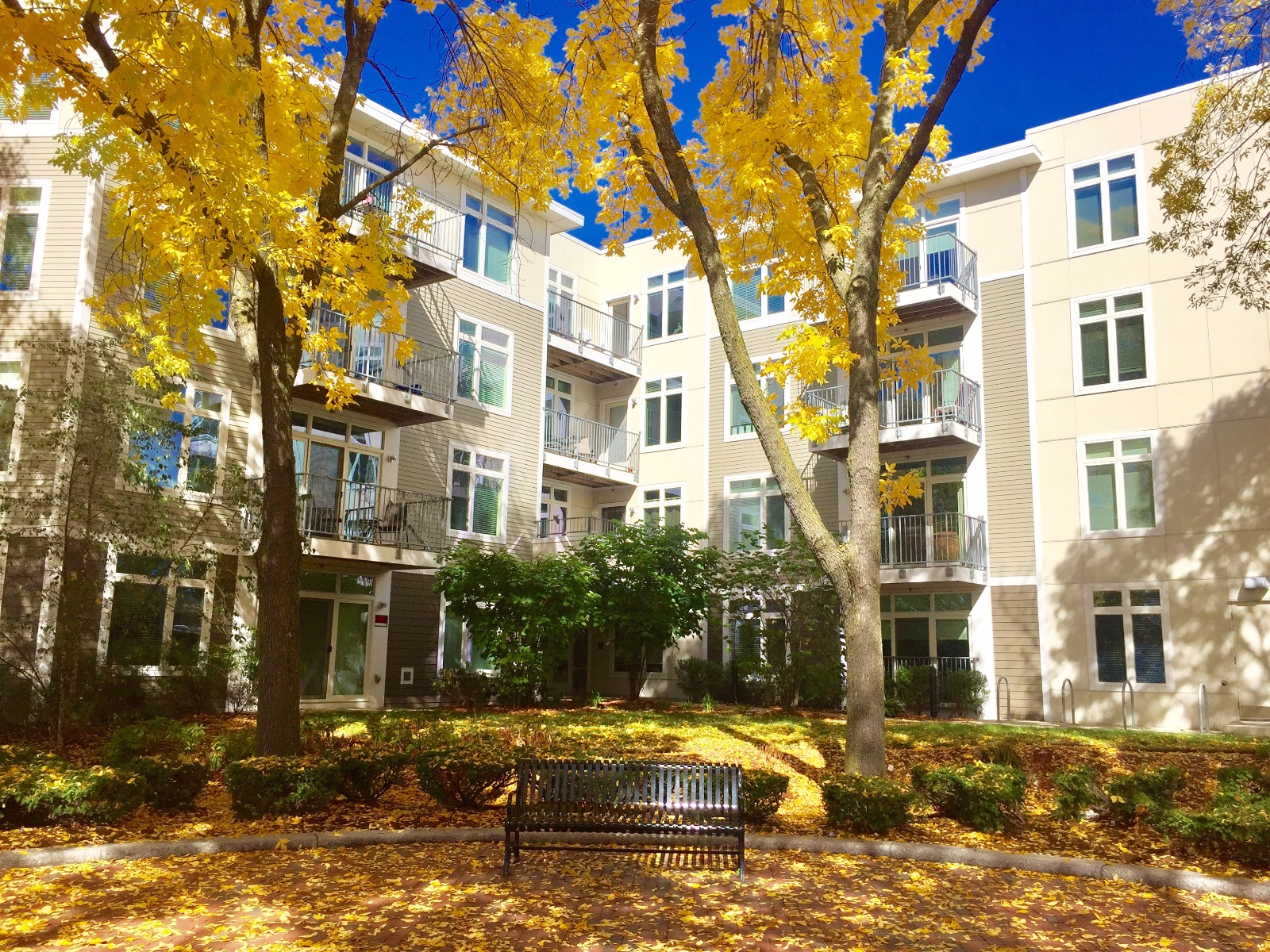 7 Cameron Ave. - North Cambridge