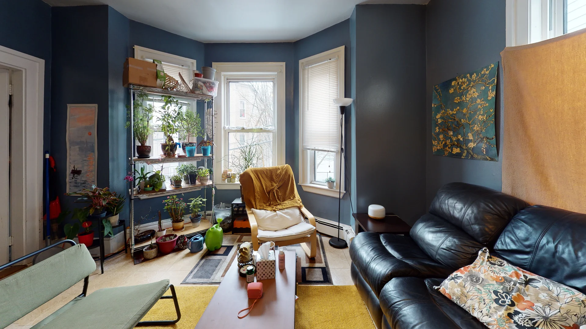 Property video